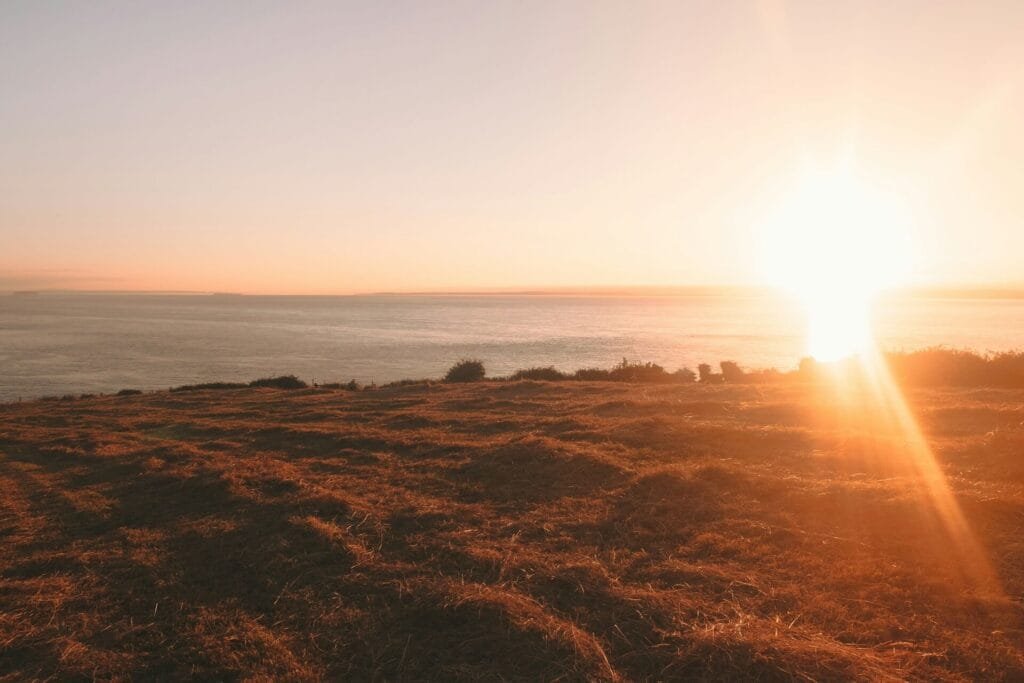 Clevedon Village: Auckland's Countryside Haven