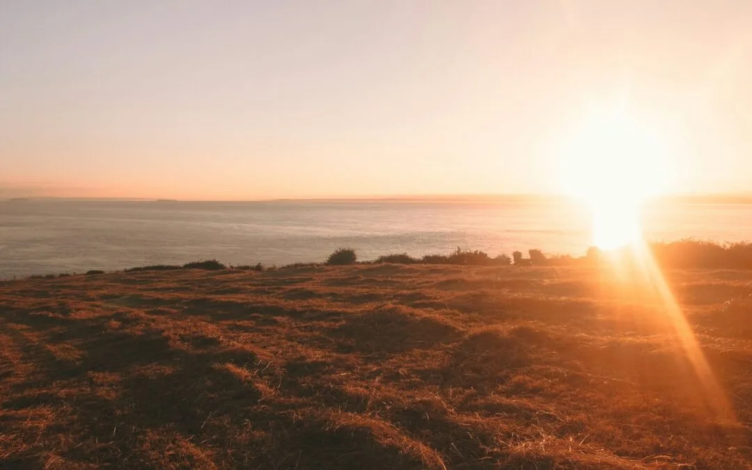 Clevedon Village: Auckland’s Countryside Haven