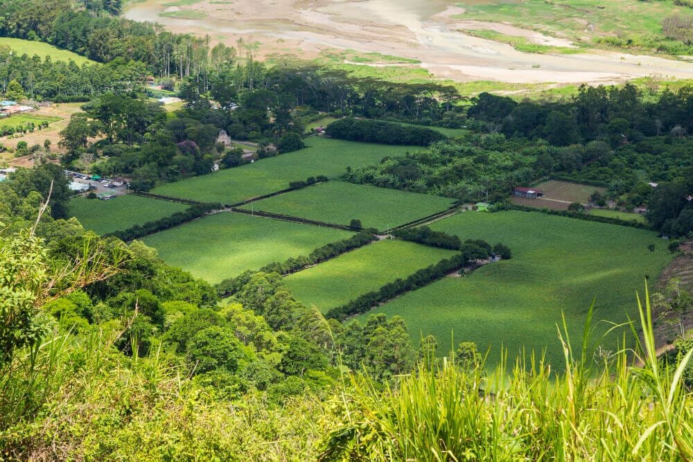 Rural property auctions